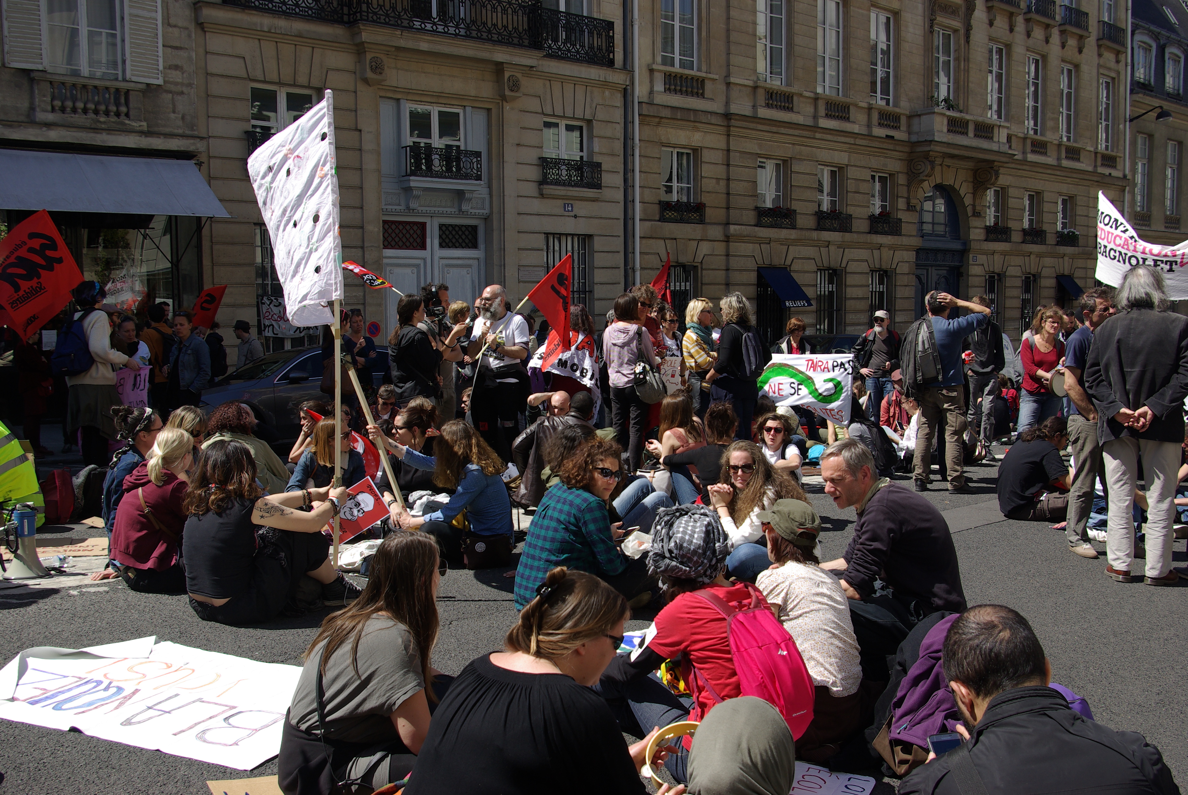 Mobilisation devant le Sénat à Paris le 14 mai 2019. Photographie : Coline Deselle pour Radio Parleur.