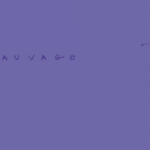 Visuel de l’album “Sauvage” de l’1consolable