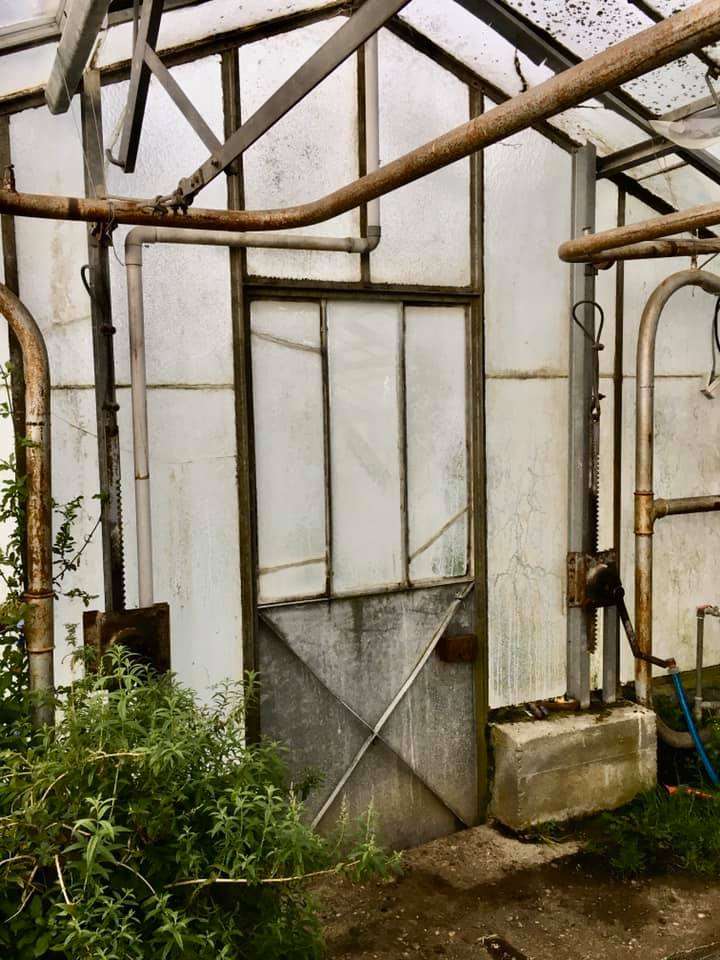 Les jardins potagers, une nécessité en temps de confinement