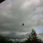 l’araignée, création sonore