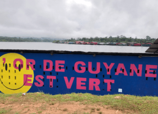 Mobilisation contre l'orpaillage en Guyane
