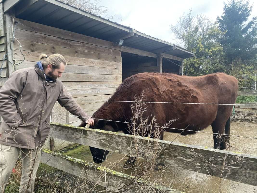 A la recherche du fromage disparu