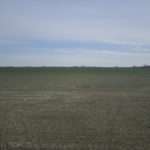 210214-ZAD du triangle de Gonesse-SL23